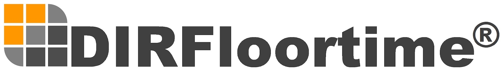dirfloortime logo